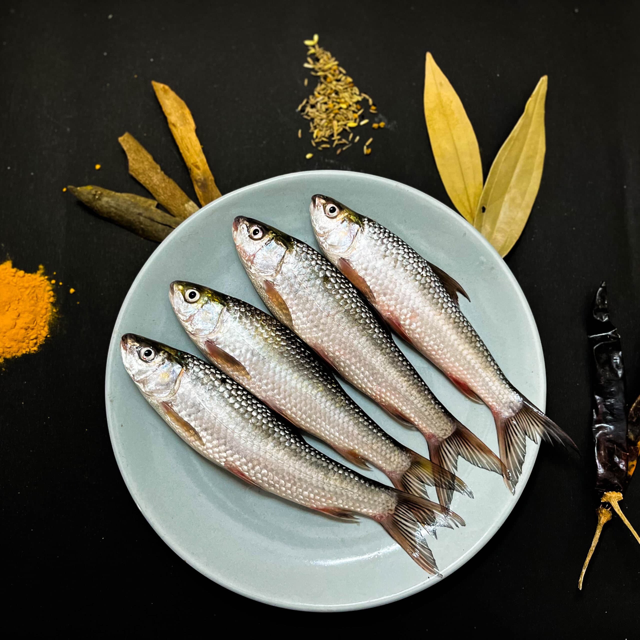 Bata Fish