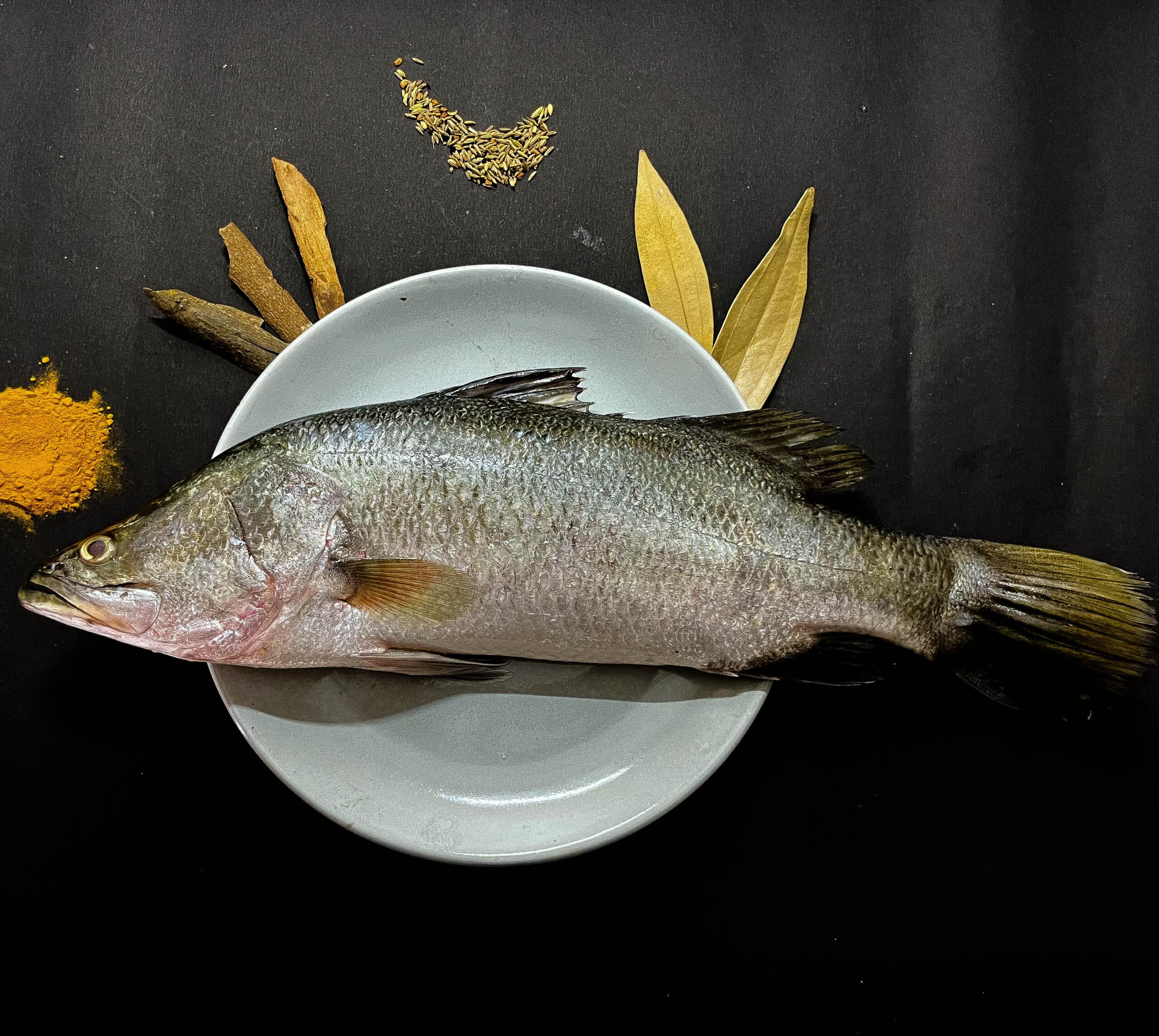 Kolkata Bhetki / Asian Seabass whole