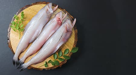 Bombay Duck/ Loita